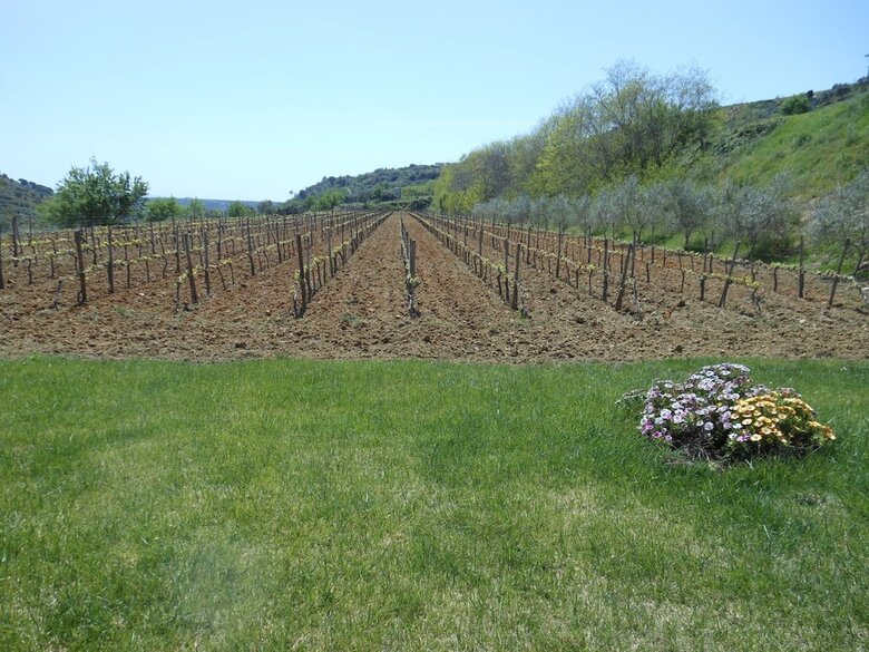 Agroturismo Antica Tenuta Del Nanfro