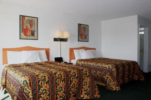Amazon Motel
