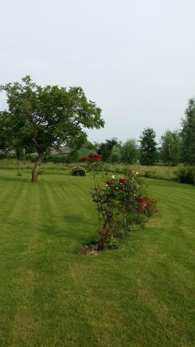 B&B �t Hof Van Kessel