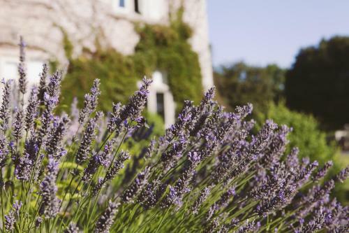 Agroturismo Langdon Court Hotel And Restaurant