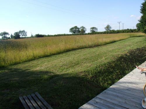Agroturismo Cornfields