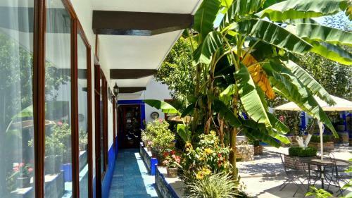 Posada Hostal Plaza Central