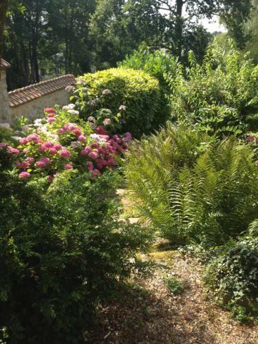 Bed & Breakfast Les Hortensias