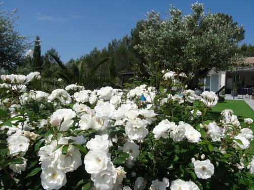 L Olivadou B&B