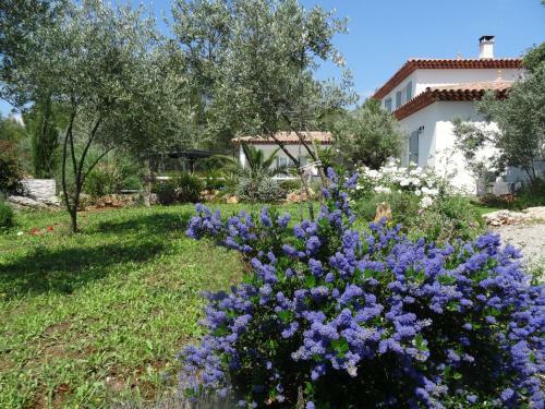 L Olivadou B&B
