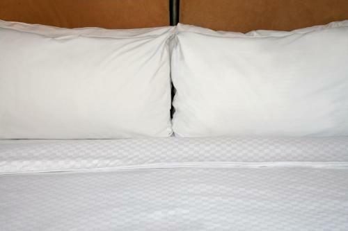 Sheraton Colonial Hotel