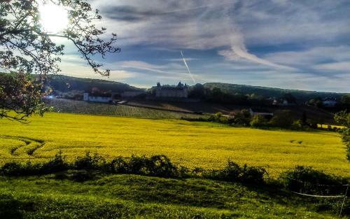 Bed & Breakfast Chateau De Burnand