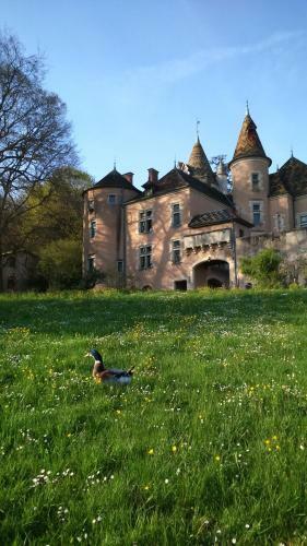 Bed & Breakfast Chateau De Burnand