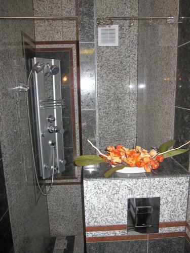 Apartamento Zr�nyi H�z