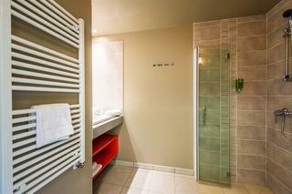 Hotel Comfort Suites Universit�s Grenoble Est