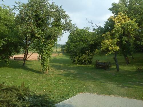 Hostal Borosty�nkert �tterem & Vend�gh�z