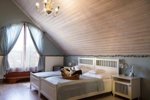 Hostal Hangya Panzi� �s �tterem
