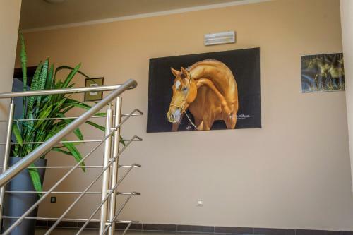 Agroturismo Hotel Horse Riding