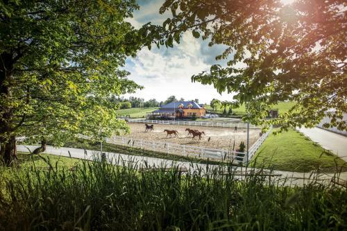 Agroturismo Hotel Horse Riding