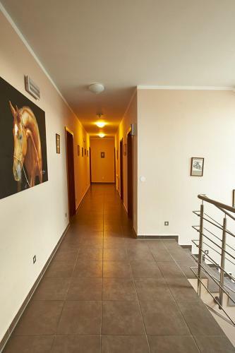 Agroturismo Hotel Horse Riding