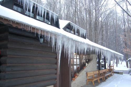 Hostal Koliba U Cerneho Medveda