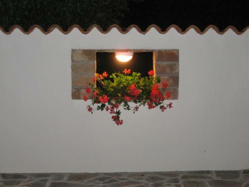 Apartments Villa Ksenija