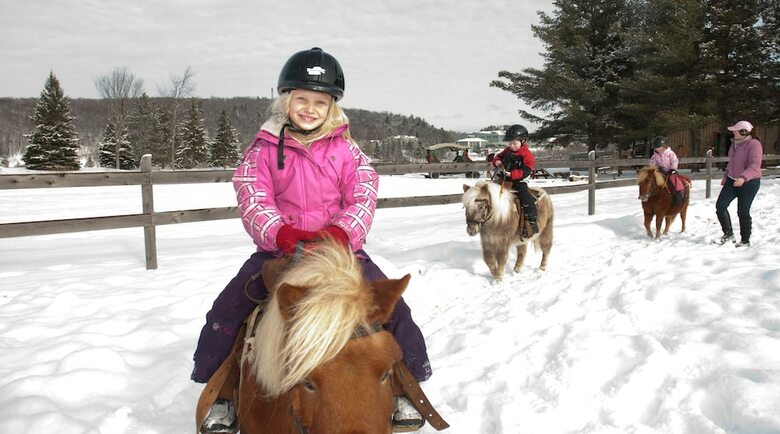 Hotel Deerhurst Resort