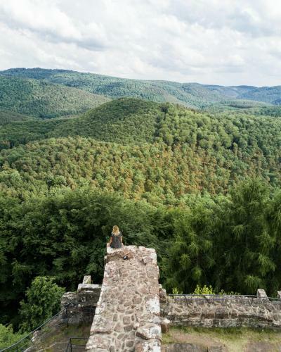Bed & Breakfast Villa Maria