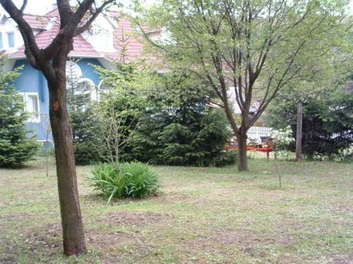 Hostal Feny? Vend�gh�z