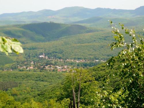 Hostal Feny? Vend�gh�z