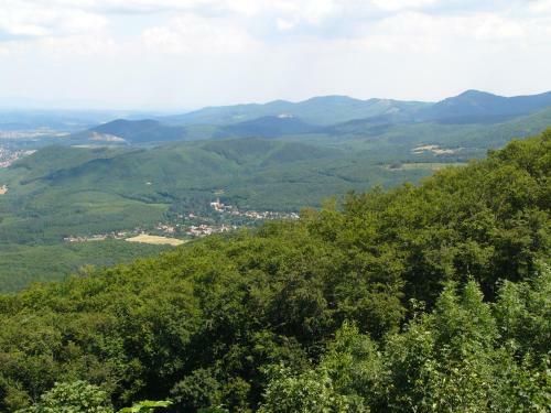 Hostal Feny? Vend�gh�z