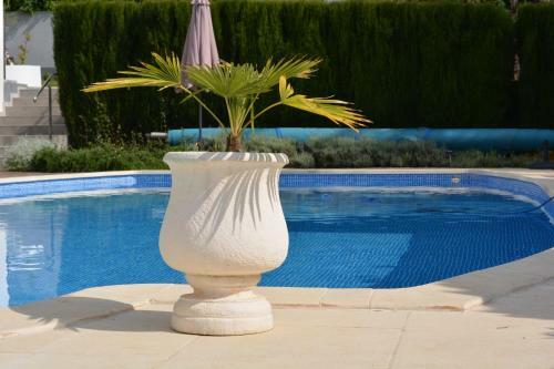 Bed & Breakfast Rooms Villa Oasiss