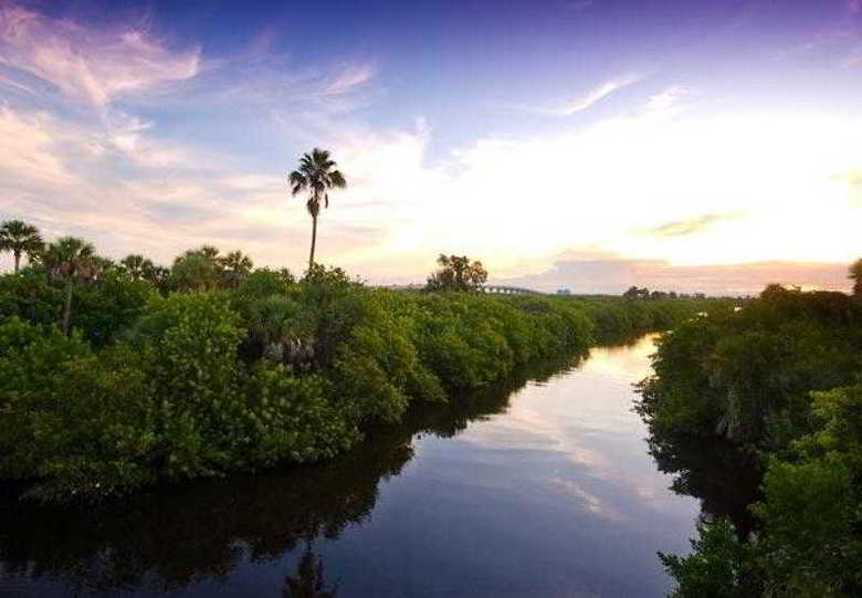Hotel Springhill Suites Vero Beach