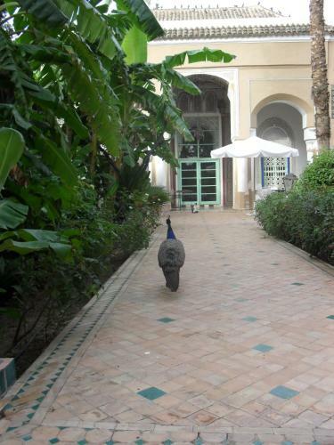 Palais Riad Hida