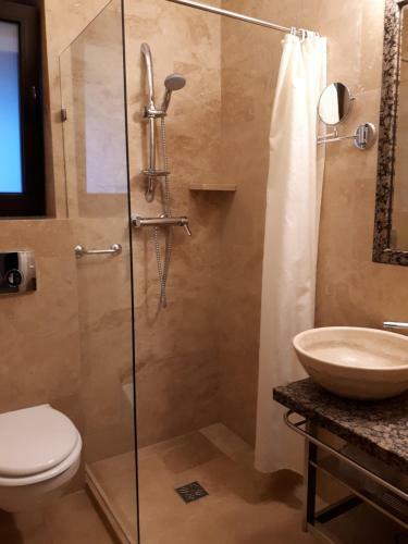 Apartamento Transylvania Villa & Spa