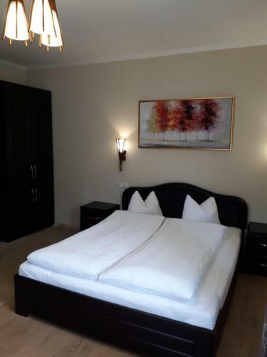 Apartamento Transylvania Villa & Spa