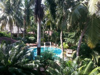 Hotel African House Resort