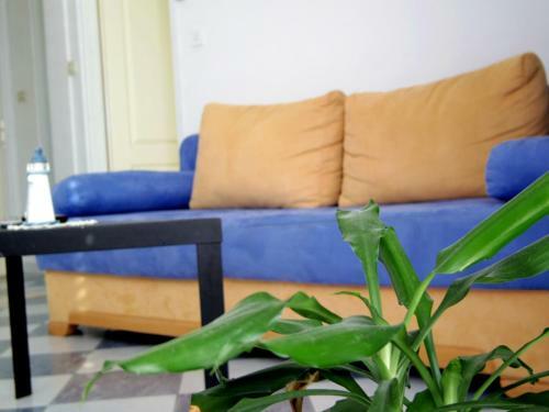 Apartments Capitano Blue