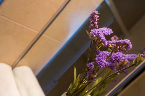 Apartamentos Villa Ivanka