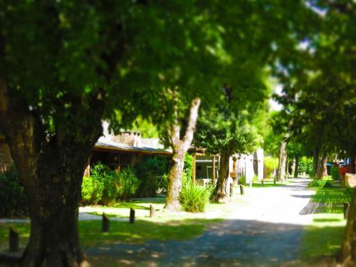 Lodge Los Pl�tanos