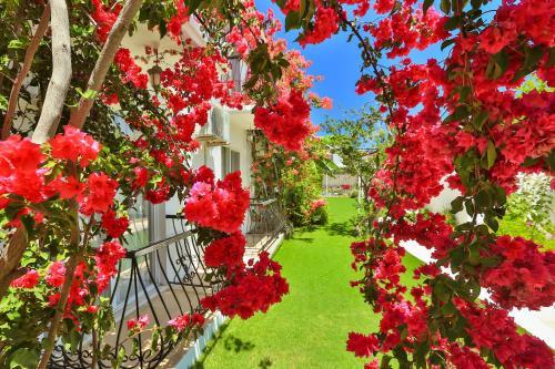 Bed & Breakfast Kiraz Pension