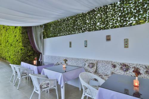 Bed & Breakfast Kiraz Pension