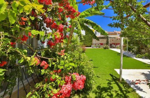 Bed & Breakfast Kiraz Pension