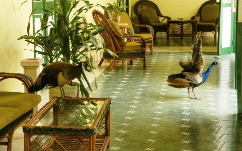 Hotel Conde De Villanueva