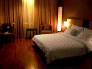 The Arista Hotel Palembang