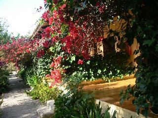 Agroturismo Hotel Rural Predio Son Serra