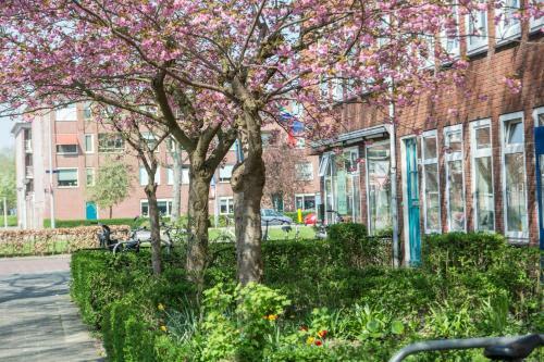 Hostal Stee In Stad