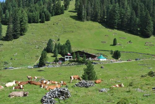 Posada Berggasthaus H�llensteinh�tte