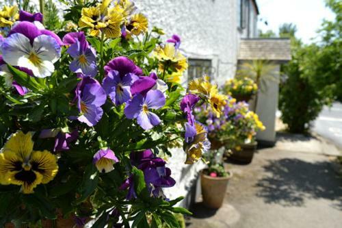 Hotel The Tytherleigh Arms