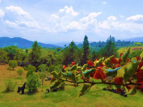 Hotel Finca El Cielo