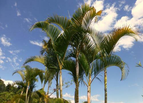 Hotel Finca El Cielo