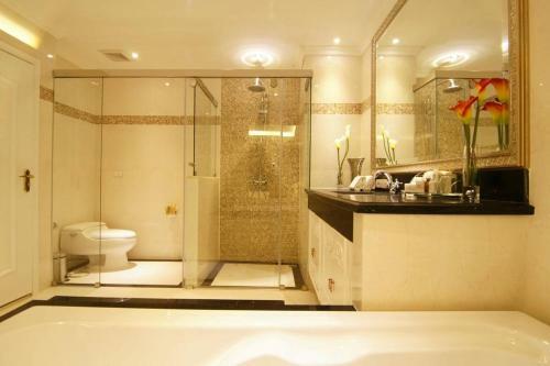Hotel Miracle Suite