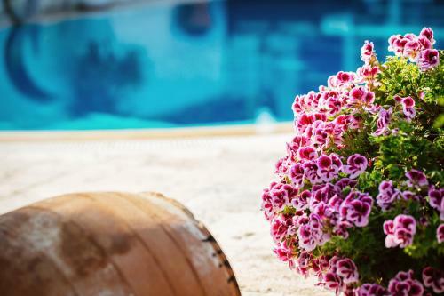 Hotel Beyevi- Special Category