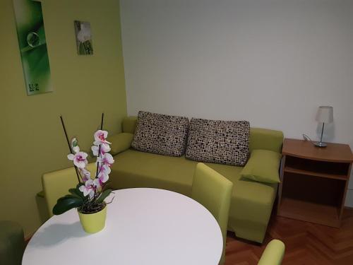 Hostal House Villa Roza