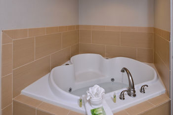 Hotel Holiday Inn Express Crestwood